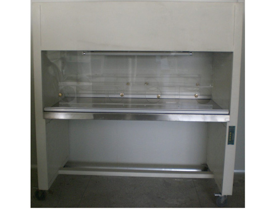 雙人垂直流凈化工作臺(tái)